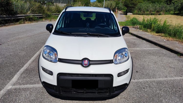 FIAT PANDA 1.0 HYBRID FIRE FLY LIFE CV 70