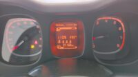 FIAT PANDA 1.0 FIRE FLY 70 CV HYBRID CITY LIFE